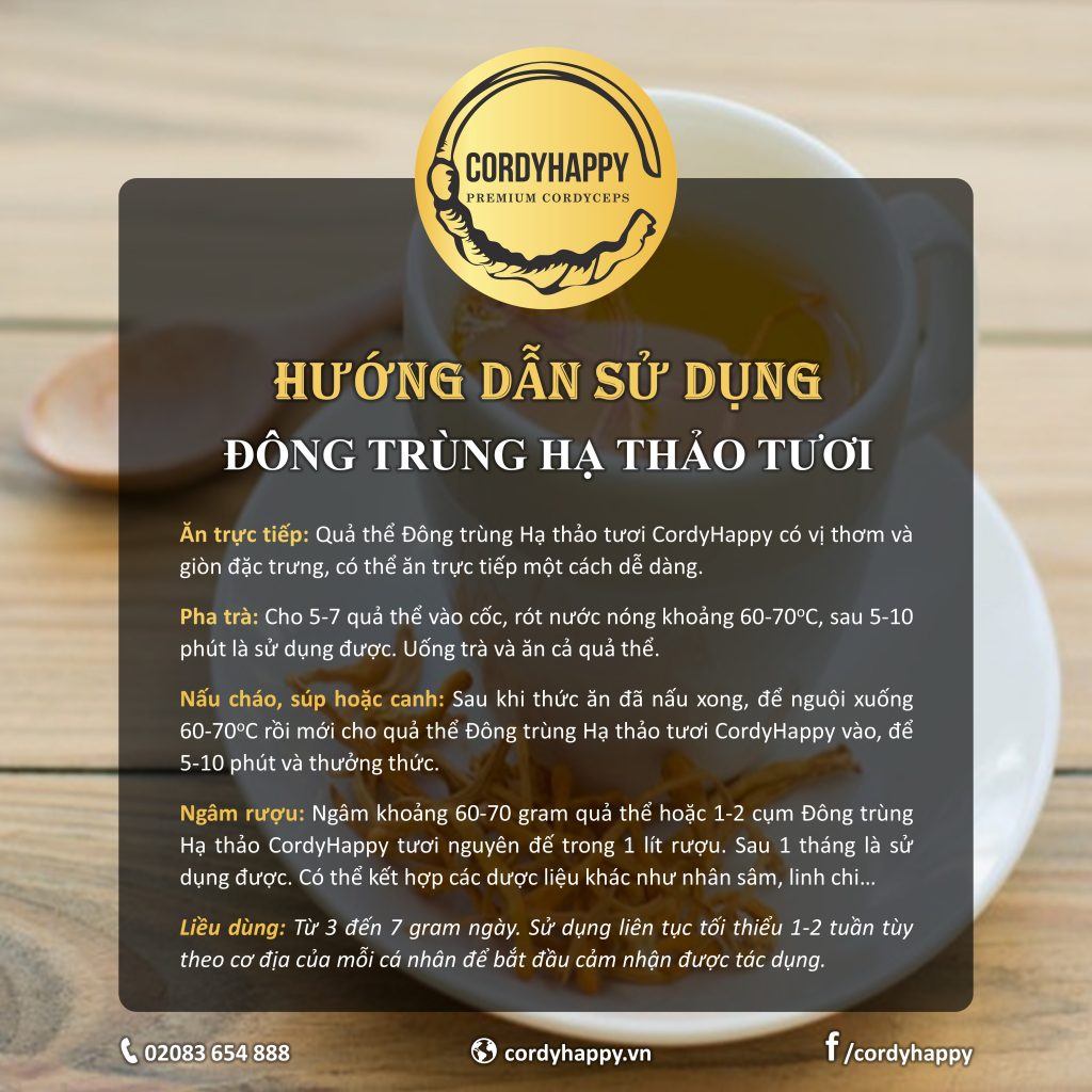 Hướng dẫn sử dụng Đông trùng hạ thảo tươi